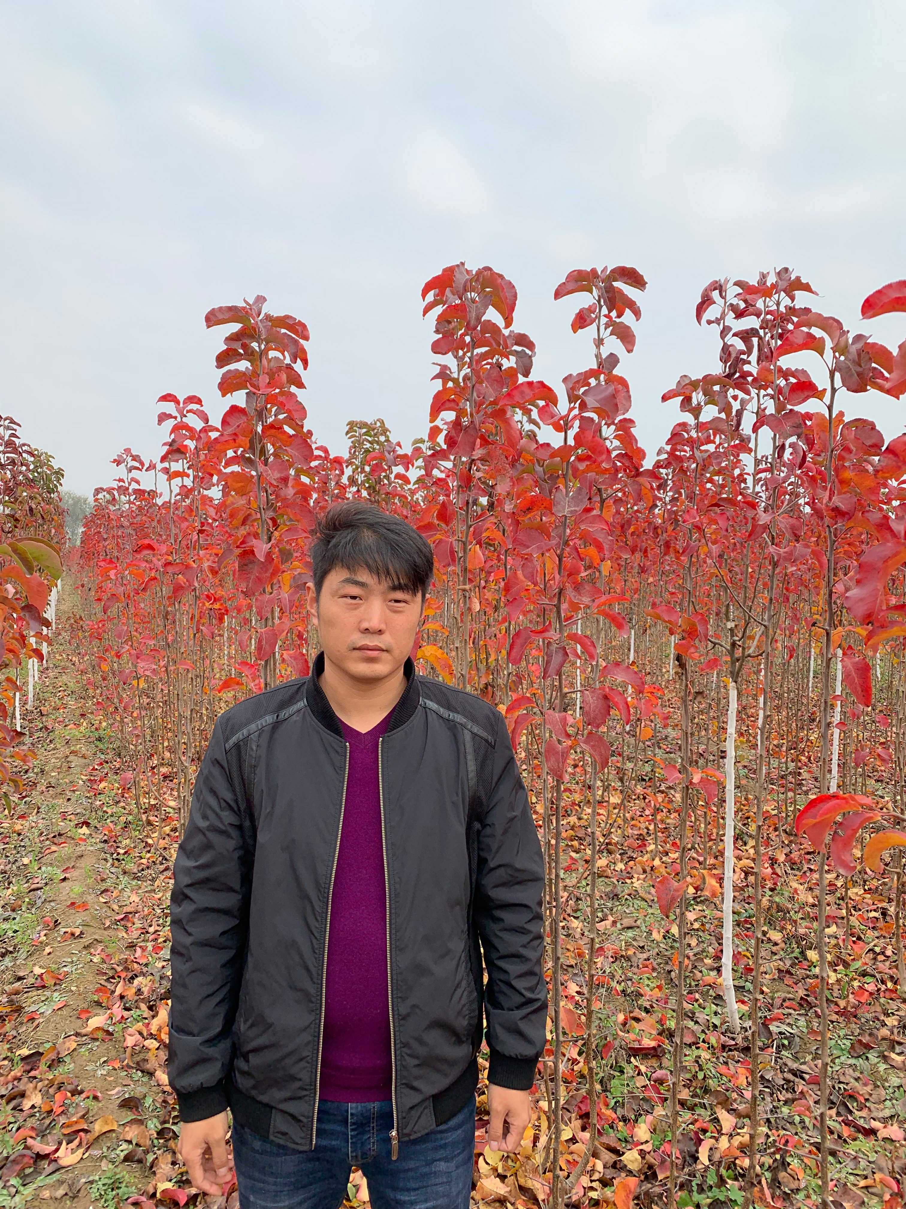 1550367800735417.jpg 耿飛經(jīng)理.jpg